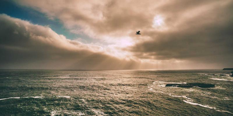 任务接单与自由职业如何重塑危机响应？以“四蚂蚁”模式整合自然灾害救援信息