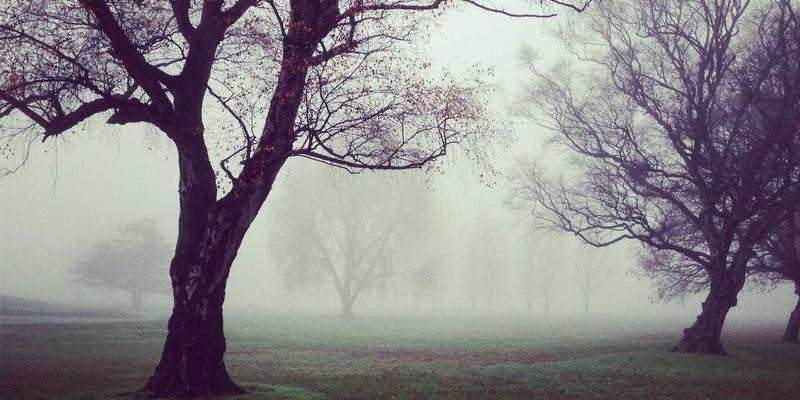 众包数据标注：人工智能背后的隐形驱动力与挑战