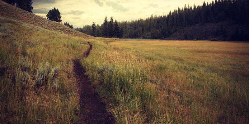 众包服务82：解锁技能变现新路径，打造灵活职业生态圈