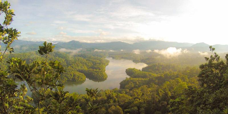 众包服务86：自由职业者如何高效接单与变现的完整指南