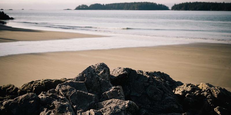 众包服务88：解锁灵活创收新方式，打造高效任务接单与兼职平台