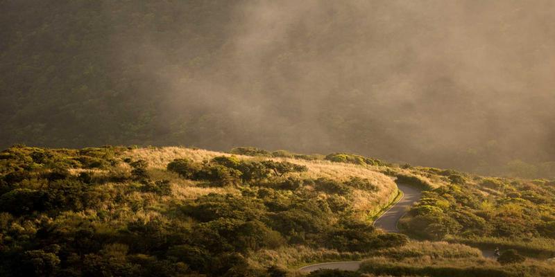 众包服务98：重新定义任务接单与自由职业的未来模式