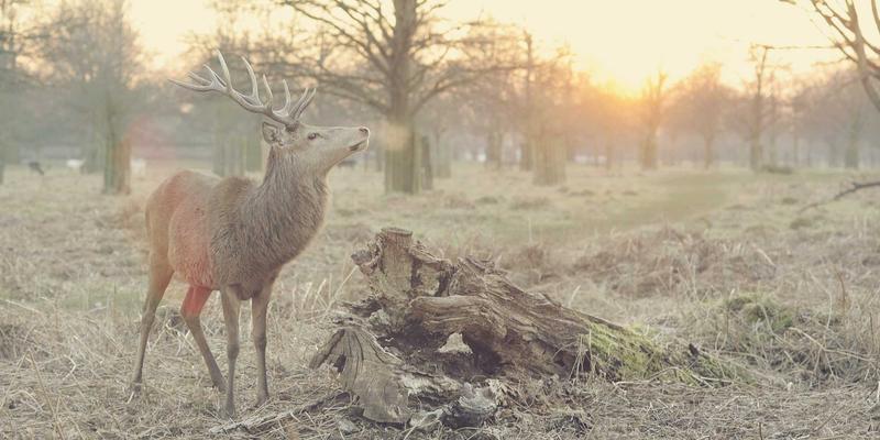 众包服务全攻略：如何通过兼职平台实现技能变现与自由职业转型