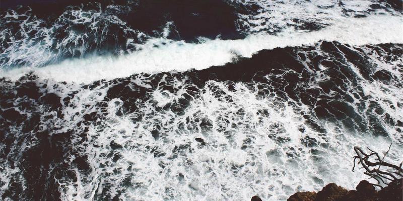 众包服务如何赋能个体？揭秘‘四蚂蚁’模式下的技能变现新生态