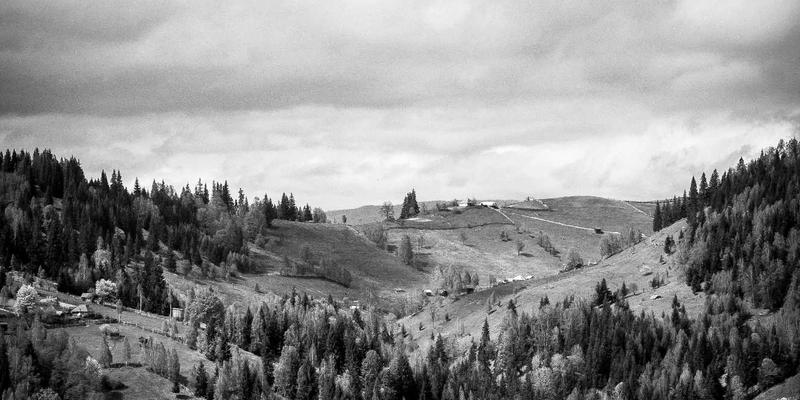 众包服务如何革新农业：基于图像识别的病虫害监测网络实践