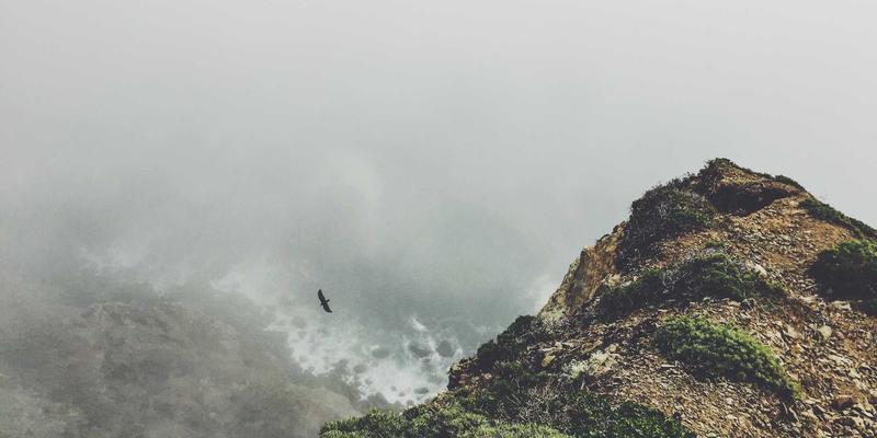 众包服务是什么？深度解析四蚂蚁等平台如何重塑项目外包与技能变现新生态