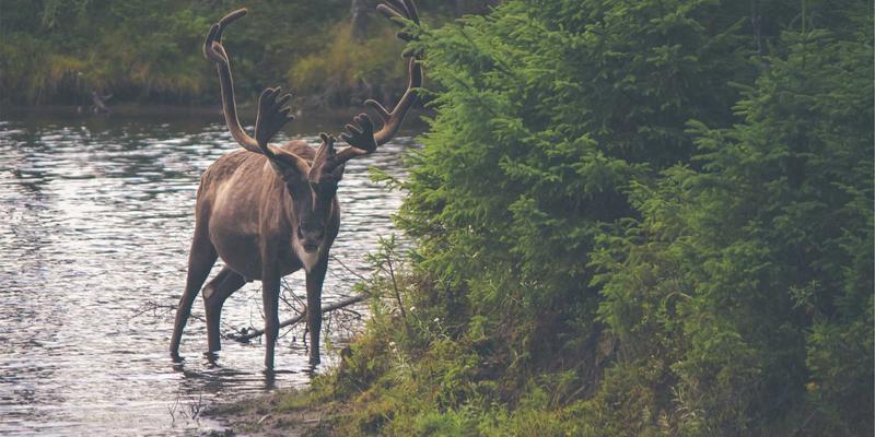 众包服务：自由职业与兼职平台的融合创新