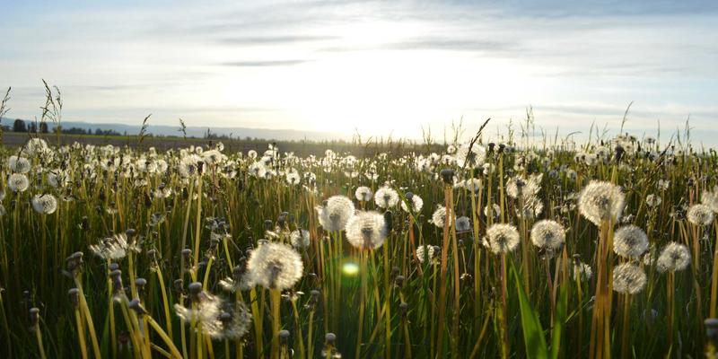 四蚂蚁平台深度解析：如何通过任务接单开启你的自由职业之路