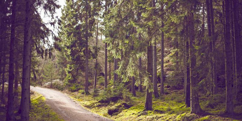 如何利用众包服务与兼职平台，高效实现本土化市场调研与消费者洞察