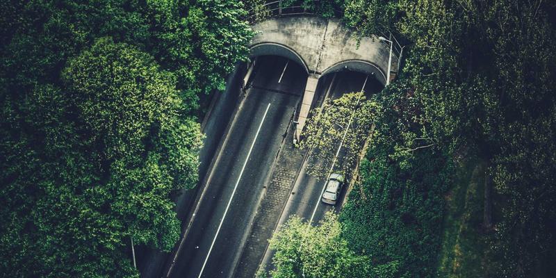 如何利用众包服务与兼职平台高效收集市场反馈：自由职业者的力量