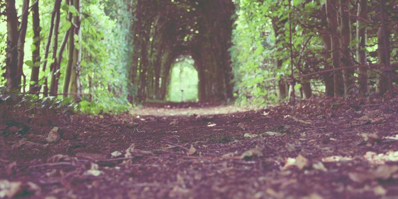 如何构建高效众包服务平台：从兼职平台到项目外包的实战指南