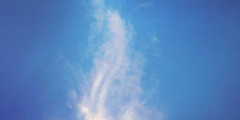 学术研究新范式：如何通过四蚂蚁等兼职平台实现大规模科学数据众包