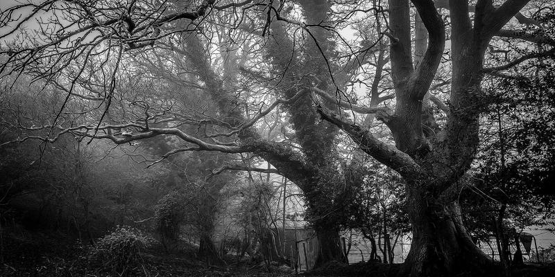 技能变现新蓝海：自由职业者如何通过众包测试任务接单实现收入增长