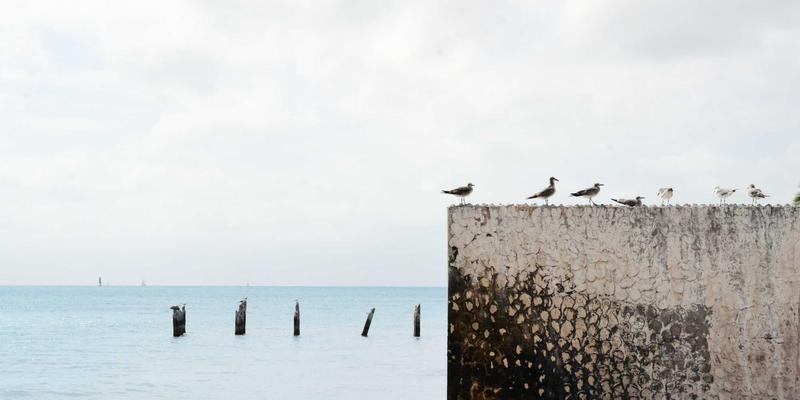教育众包新浪潮：如何在兼职平台接单，共建开源课程与适应性学习资源库
