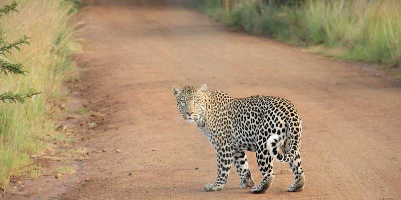 自由职业与项目外包：AI训练数据采集中的伦理挑战与合规路径