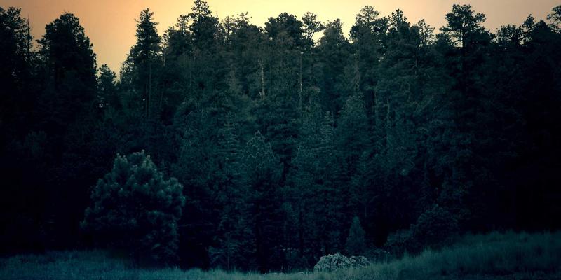 自由职业新蓝海：任务接单式众包翻译如何重塑全球语言服务