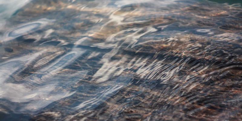 自由职业新蓝海：四蚂蚁任务接单如何重塑众包物流服务模式