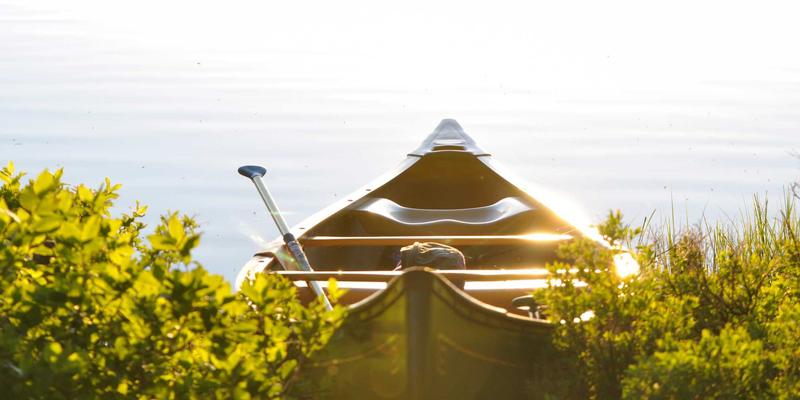 自由职业者如何安心技能变现？解析四蚂蚁等众包平台的信任机制与安全保障