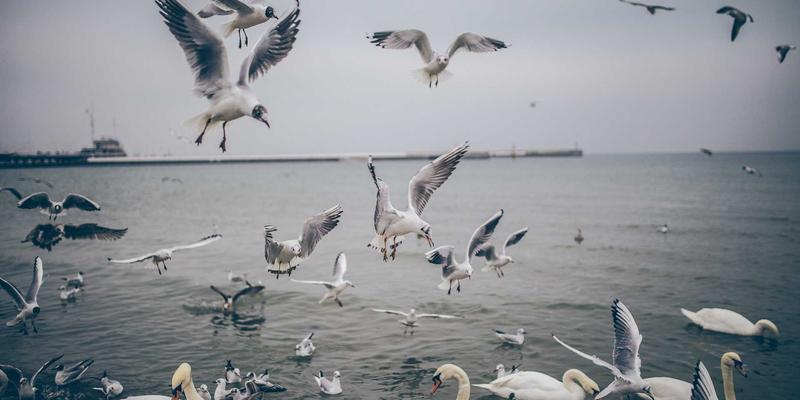 自由职业者如何通过兼职平台实现技能变现：众包翻译的质量控制与规模化实践