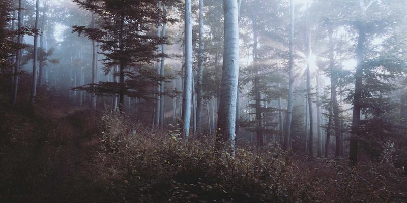 项目外包与任务接单新范式：区块链如何重塑去中心化兼职平台与知识产权保护